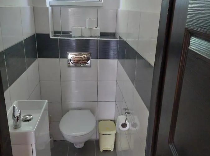 Jani Vendeghaz Ground Floor &